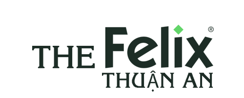 logo the felix thuan an